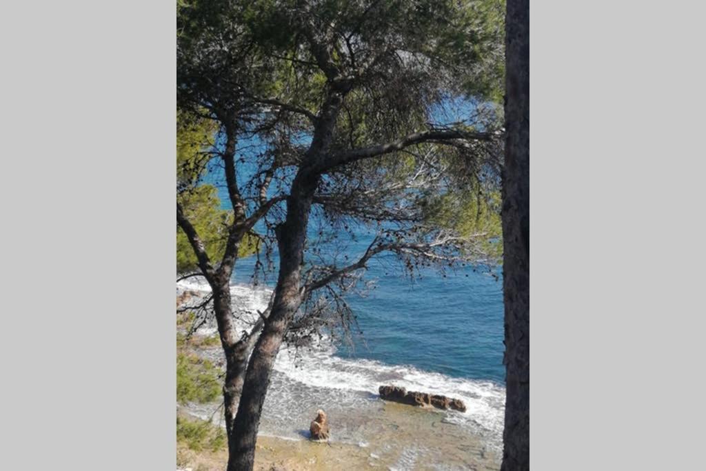 Willa El Poblet 36 Denia Zewnętrze zdjęcie
